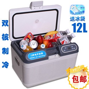 双制冷车载冰箱迷你冰箱小型家用胰岛素冷藏箱12v24v12升H,正品保证