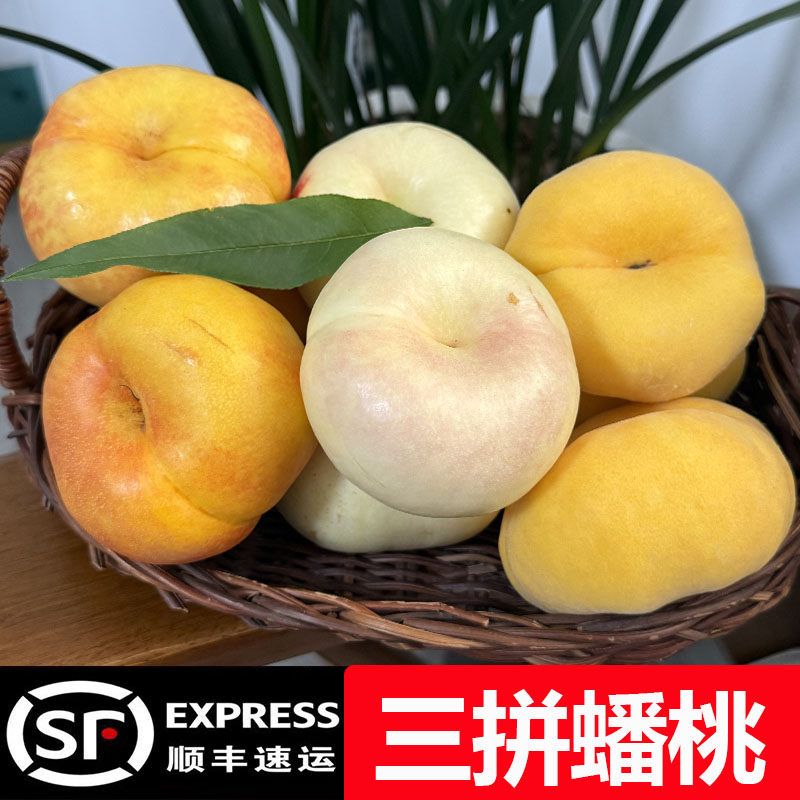蟠桃新鲜水果整箱当季白油蟠桃+黄毛蟠桃+彩虹油蟠三拼桃子