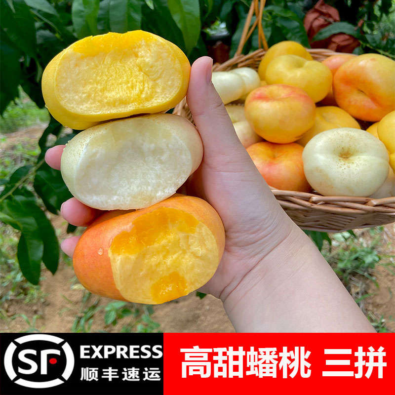 蟠桃新鲜水果整箱当季奶油蟠桃+黄金奶油蟠桃+彩虹油蟠桃三拼桃子