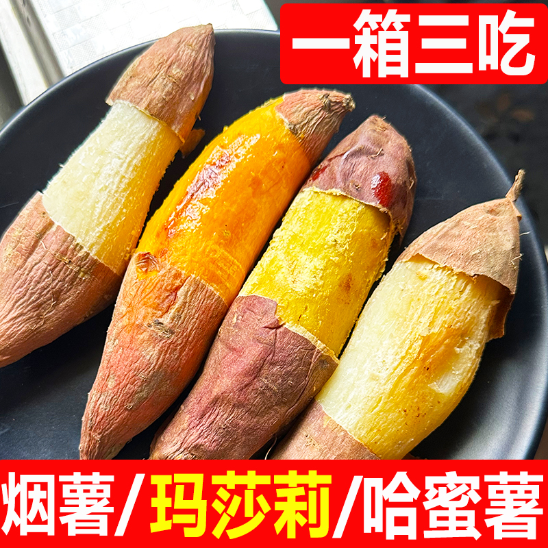 山东正宗烟薯25号糖心蜜薯哈蜜冰糖薯玛莎莉榴莲蜜薯新鲜红薯地瓜