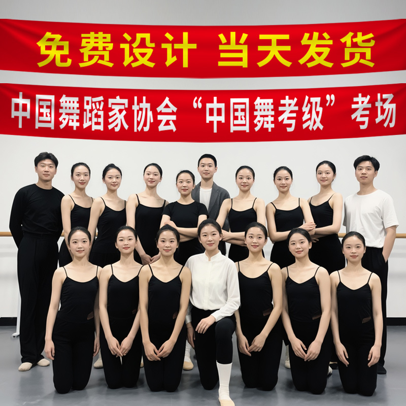 中国舞蹈考级横幅定制定做舞蹈家协会音乐美术书法宣传彩色条幅聚会考试辅导培训团建活动派对广告竖幅旗帜