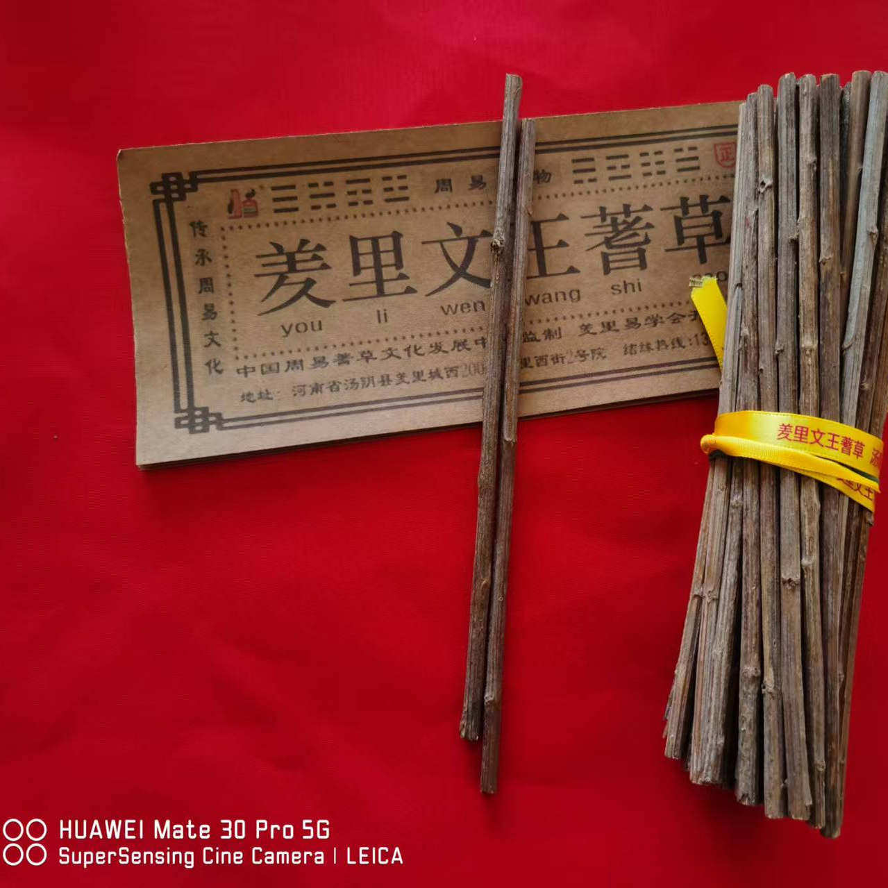 蓍草 筹策 羑里城文王蓍草卦大衍筮法易经国学大师