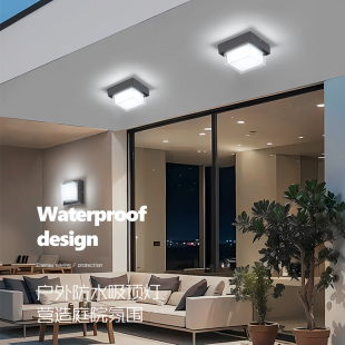 屋檐吸顶灯简约户外家用防水防虫阳台走廊别墅庭院房檐三防吸顶灯