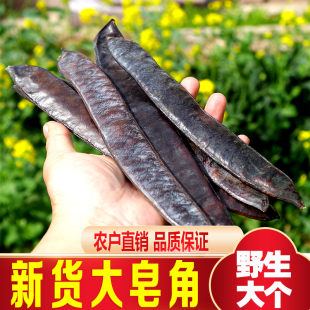 新货大皂角野生皂荚天然洗发皂角粉中药材洗发防脱发皂角粉免煮