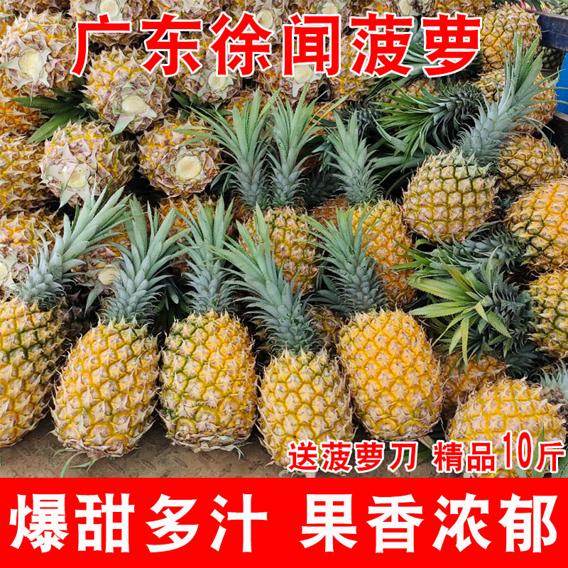 广东徐闻菠萝水果10斤装当季香水菠萝新鲜凤梨湛江香脆小菠萝带箱 水产肉类/新鲜蔬果/熟食 菠萝 原图主图