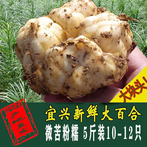 新鲜百合精选宜兴特产片大肉厚