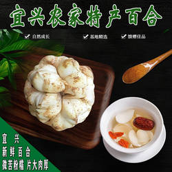 2025新鲜百合宜兴鲜百合特产3-5只左右/斤微苦宜兴百合产地发货