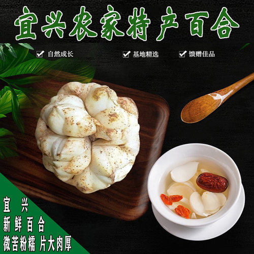 新鲜宜兴百合宜兴特产软糯微苦