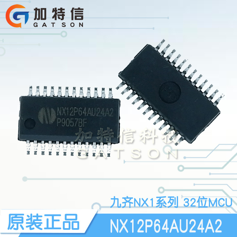 NX12P64AU24A2封装SSOP24 32位MCU Nyquest/九齐原装一级代理