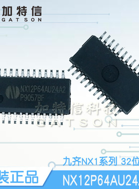 NX12P64AU24A2 封装SSOP24 32位MCU Nyquest/九齐原装一级代理