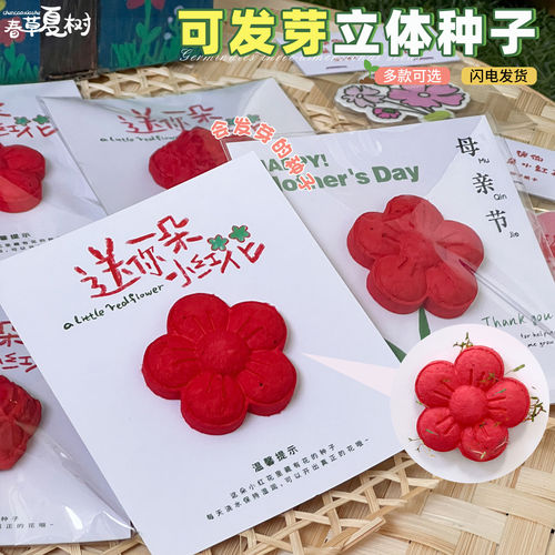 可种植立体环保种子纸卡片材料包