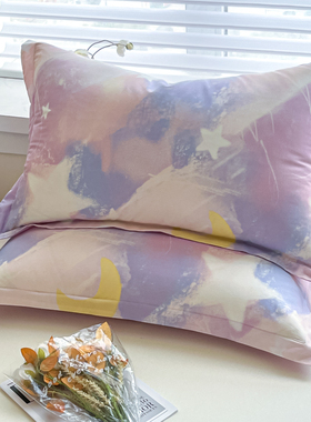 纯棉枕套30x50一只装儿童全棉单人枕头套40x60记忆枕芯套48x74cm