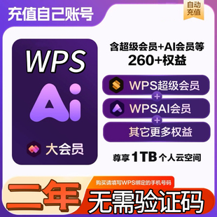 【充自己号】WPS大会员AI生成PPT论文模版创作资源两年卡 2年直充