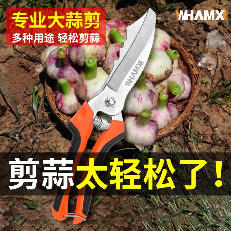 大蒜專用剪刀剪蒜神器