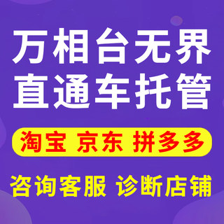 淘宝代运营天猫店铺运营网店托管整店运营优化新店服务直通车推广