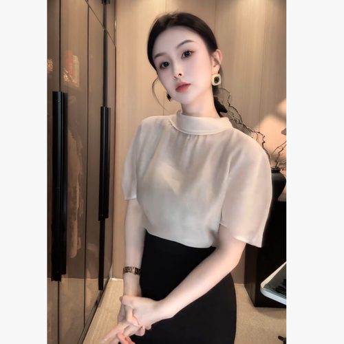 刘欣C店 短袖半高领上衣S362