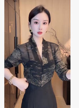 刘欣服饰 夏装新款减龄显瘦洋气百搭微透气质时尚上衣S3068