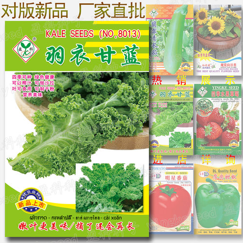 About 100 kale leaves with green, healthy, juicable, fresh,