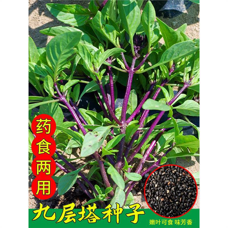 Nine story Tower Seed Balcony Four season Potted Herbs Coun