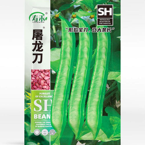 White Knife Bean Sprout Extra Long Giant Red Bean Vegetable