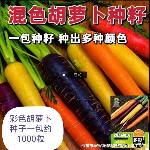 New Purple Yellow Colorful Carrot Original T-shirt Short Sl