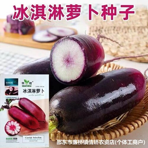 甜脆冰淇淋萝卜种子甜可生吃水果