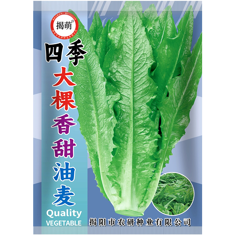 Sweet and Crispy Oil Wheat Seed with Sharp Leaves throughou