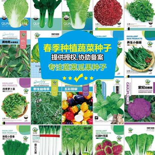 Vegetables, chili peppers, gourds, greens, tomatoes, fruits