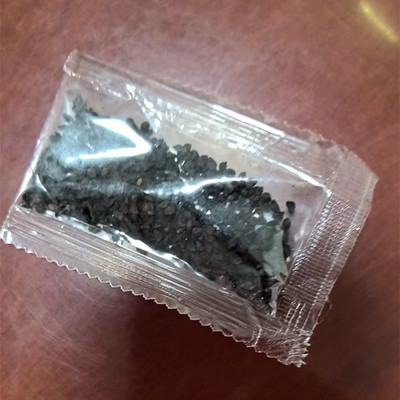小葱种子小葱种子家庭种植盆葱种