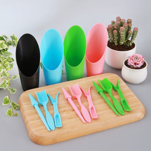 Newsucculentsetfourpiece