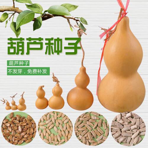 Natural Hand Twisted Large, Medium, Small American Ant Bell