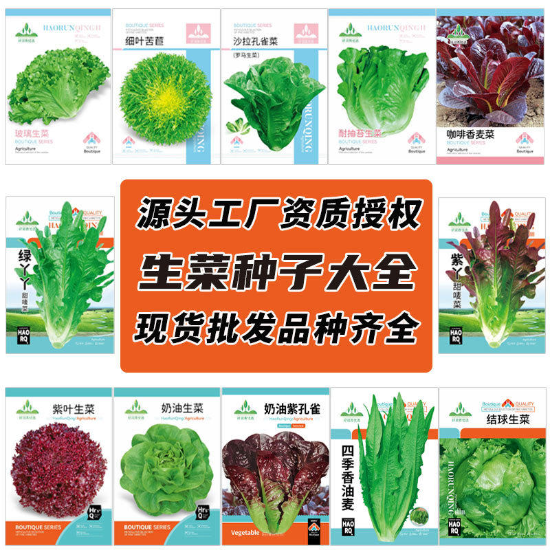 LettuceSeedsPeacockCabbage图片