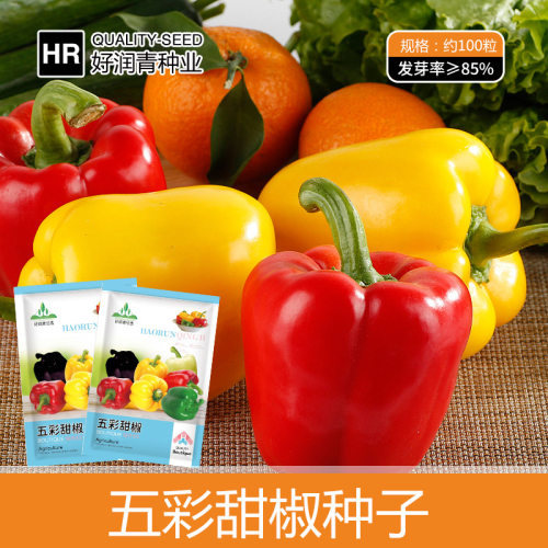 Colorful Pepper, Colorful Bell Pepper, Chili Pepper, Green