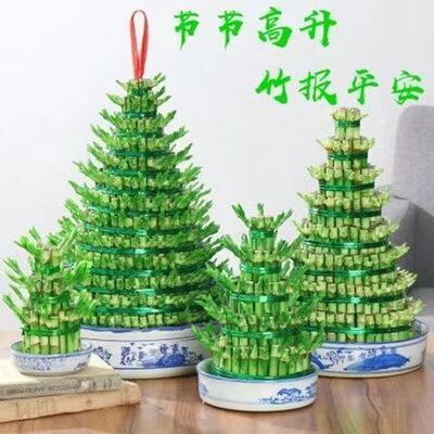 WaterbambootowerishighDr