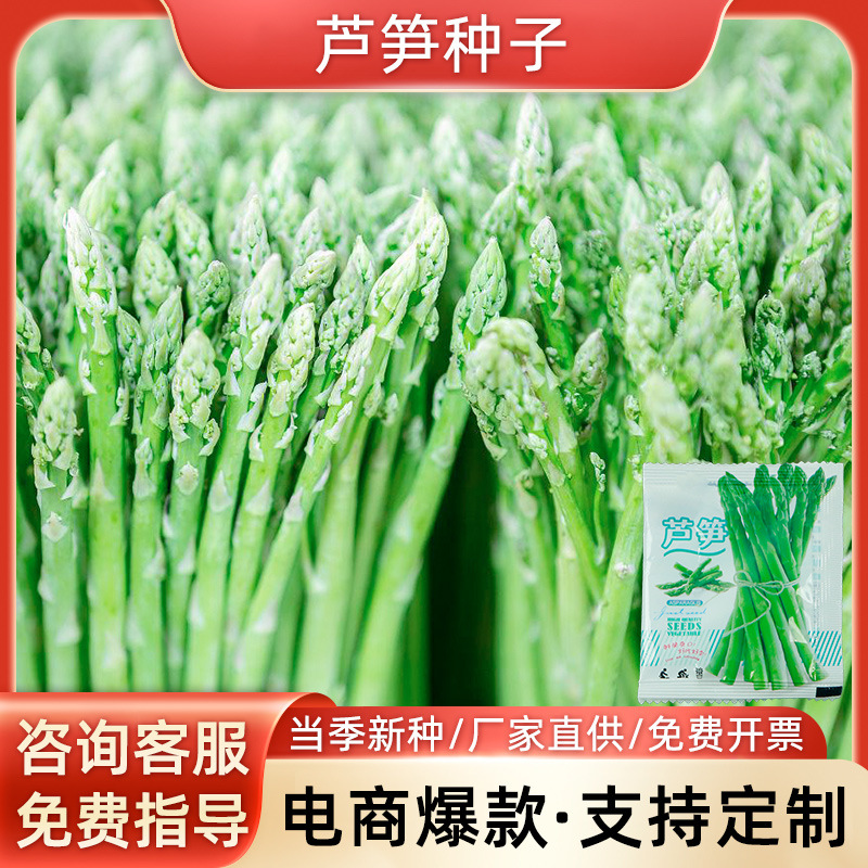 Green Asparagus Seed Asparagus Seed Farmland Courtyard Plan