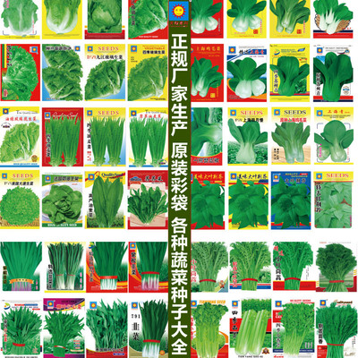 small model toy， Vegetable, melon, fruit, bean, cabbage, c