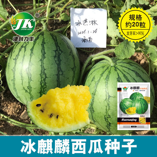 New ice cream gift watermelon round flower skin yellow fles