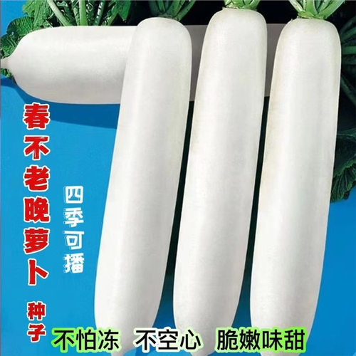 Spring never grows old, evening extra large, nine pound kin