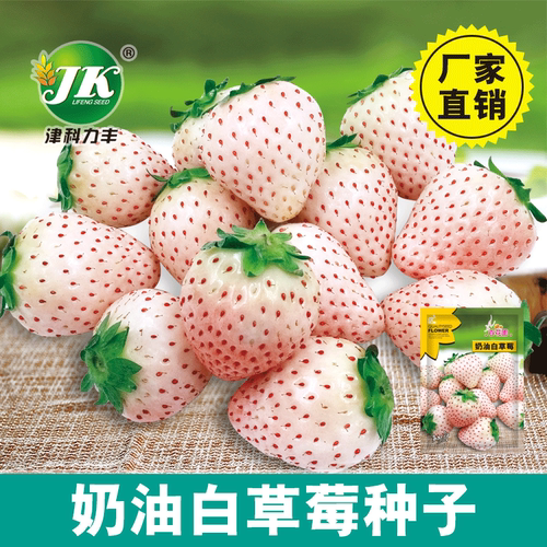 New direct supply white cream white strawberry about 200 pi