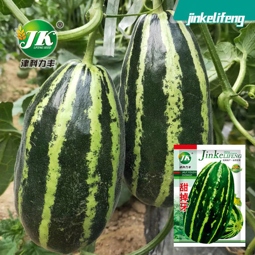 Sweet Tooth Drop Sweet Melon Flower Skin Melon Fruit Rock S