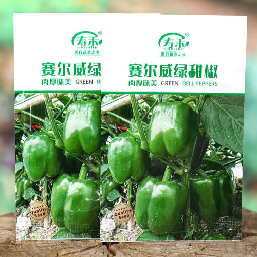 Green pepper, chili seedling, bell pepper, lantern, red veg