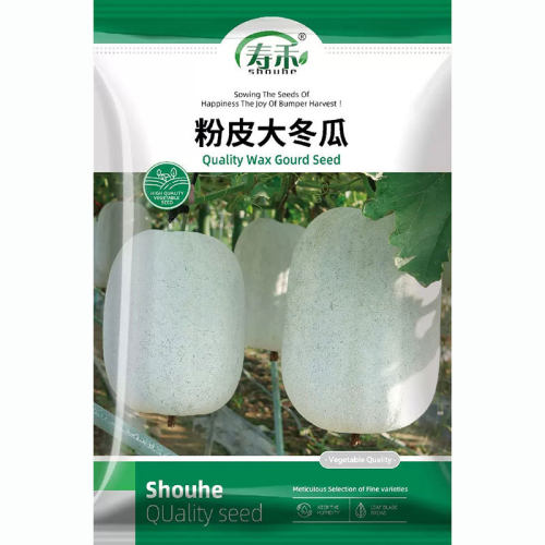 Extra Large Pink Skin Winter Melon Seedlings Balcony East M