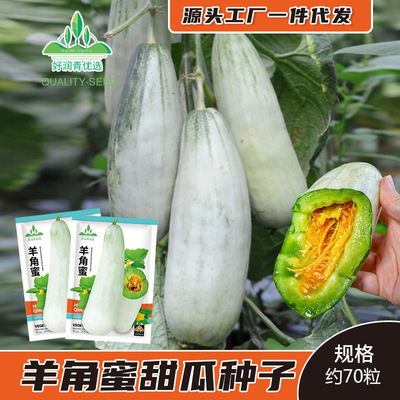 YangjiaoHoneyMelonSeedsYa