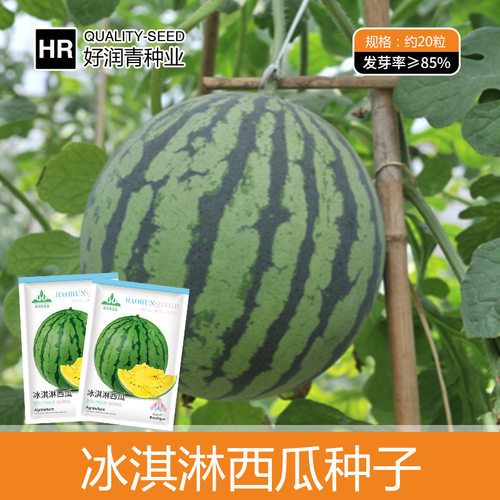 Ice cream with yellow flesh, small watermelon, flower skin,