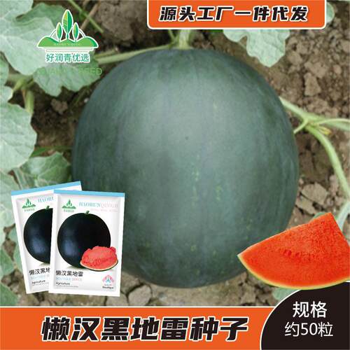 New Lazy Black Mine Round Black Skin Red Heart Watermelon R