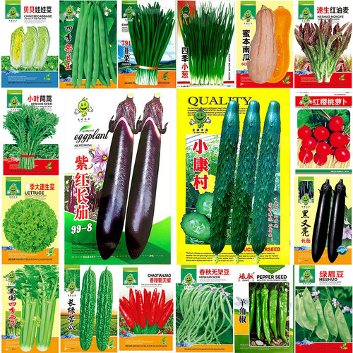 New vegetable greenhouse, potted vegetable, balcony, vegeta