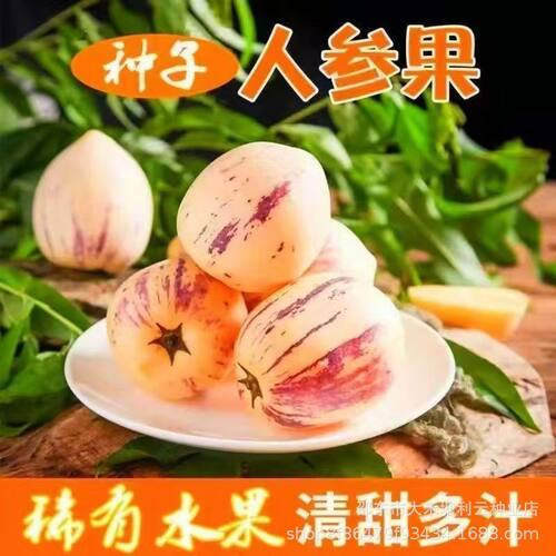 Ginseng fruit Sweet Fried Juice Vegetable Fruit Balcony Gar