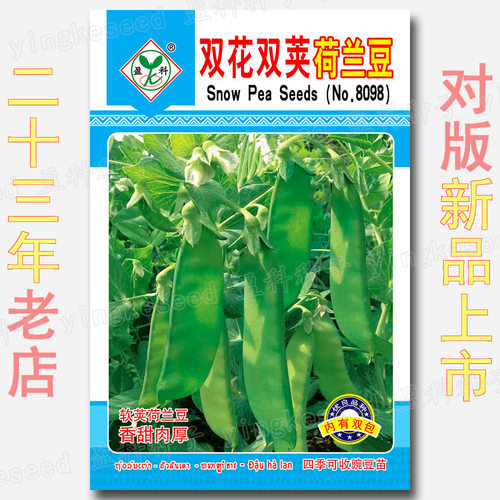New Double Flower Double Pod Dutch Beans Sweet Crispy Large