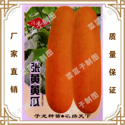New Feng Zilongye Direct Sales Wholesale Small Field Greenh