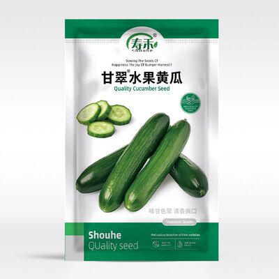 Gancui Fruit Cucumber Seedlings Summer Pot Seedlings Autumn